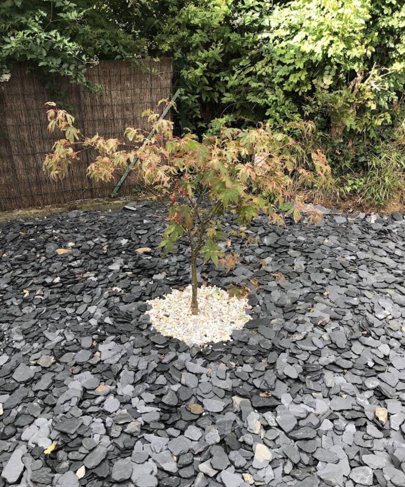 Aménagement minéral